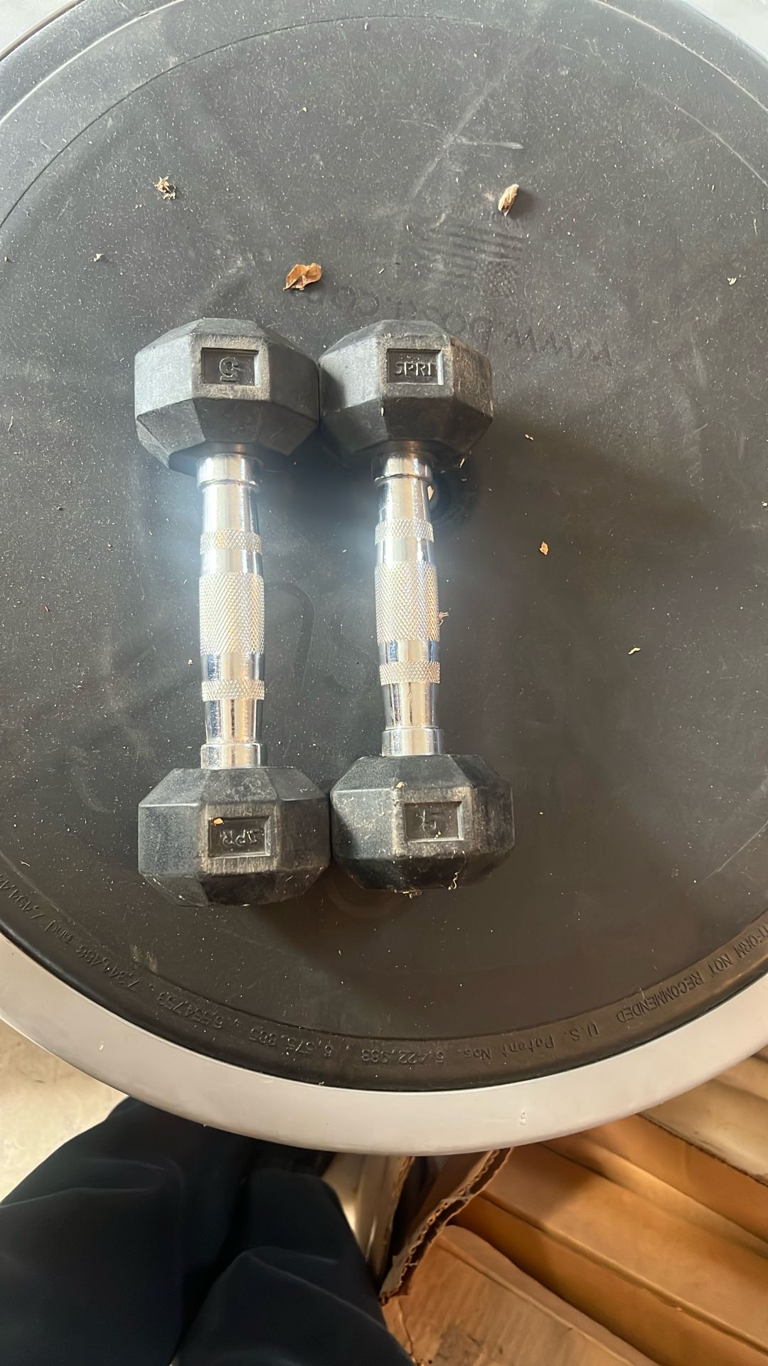 5 Lb Dumbbells