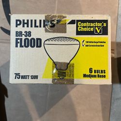 Flood Light Bulbs 