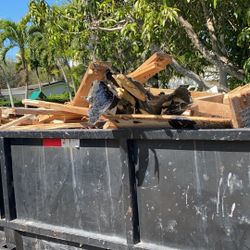 You Fill It We Dump It