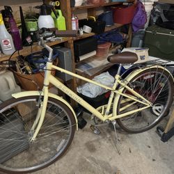 Schwinn Bike