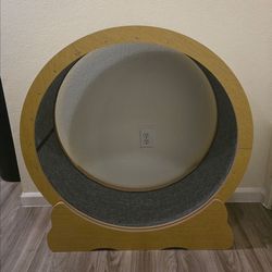 Cat Wheel