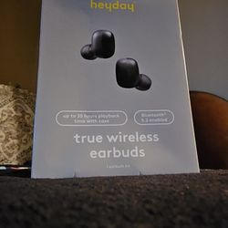 Earbuds