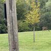 ReliableFinds