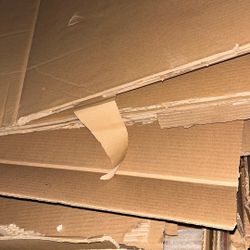 Cardboard And Styrofoam 