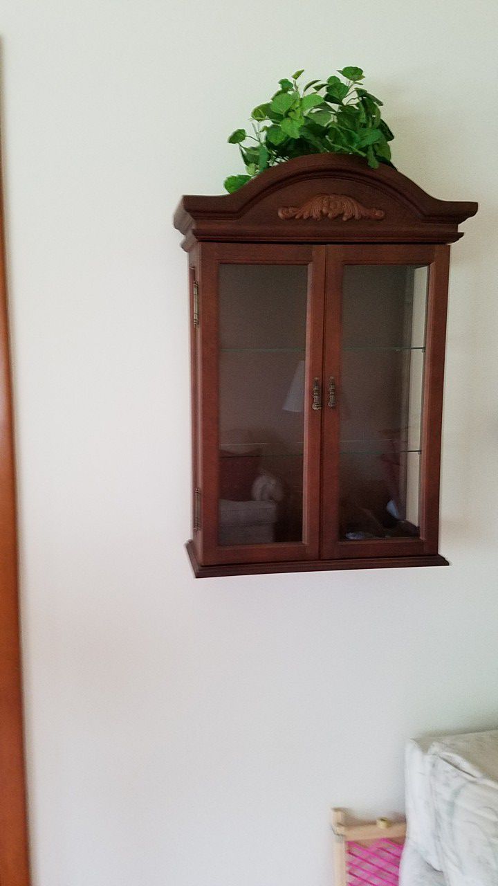 Small Wall Curio Cabinet