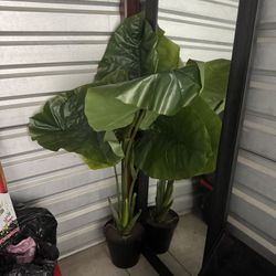 Large Faux Plant (indoor)