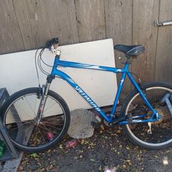 Specialized Rock Hopper