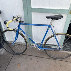 1983 Vintage Trek Road Bike 
