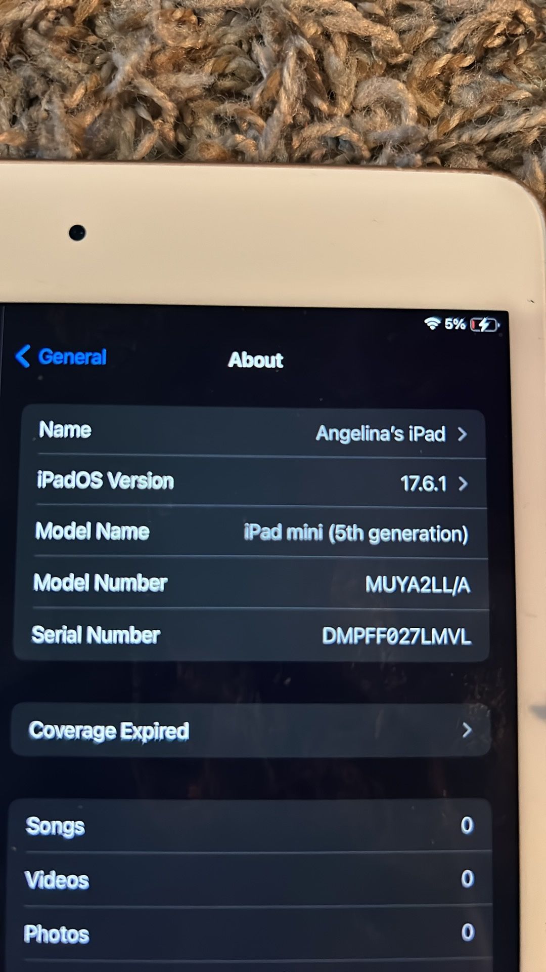 iPad Mini 256 Gb 5th Gen WiFi+ Cellular