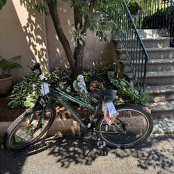 Schwinn Sidewinder Mountain Bike And Arctic Helmet 