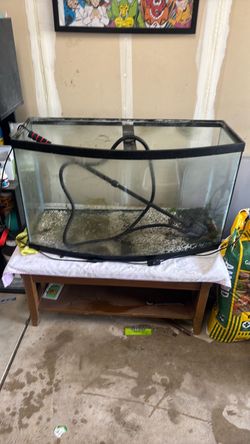40 gal for sale little table and tank 50 bucks