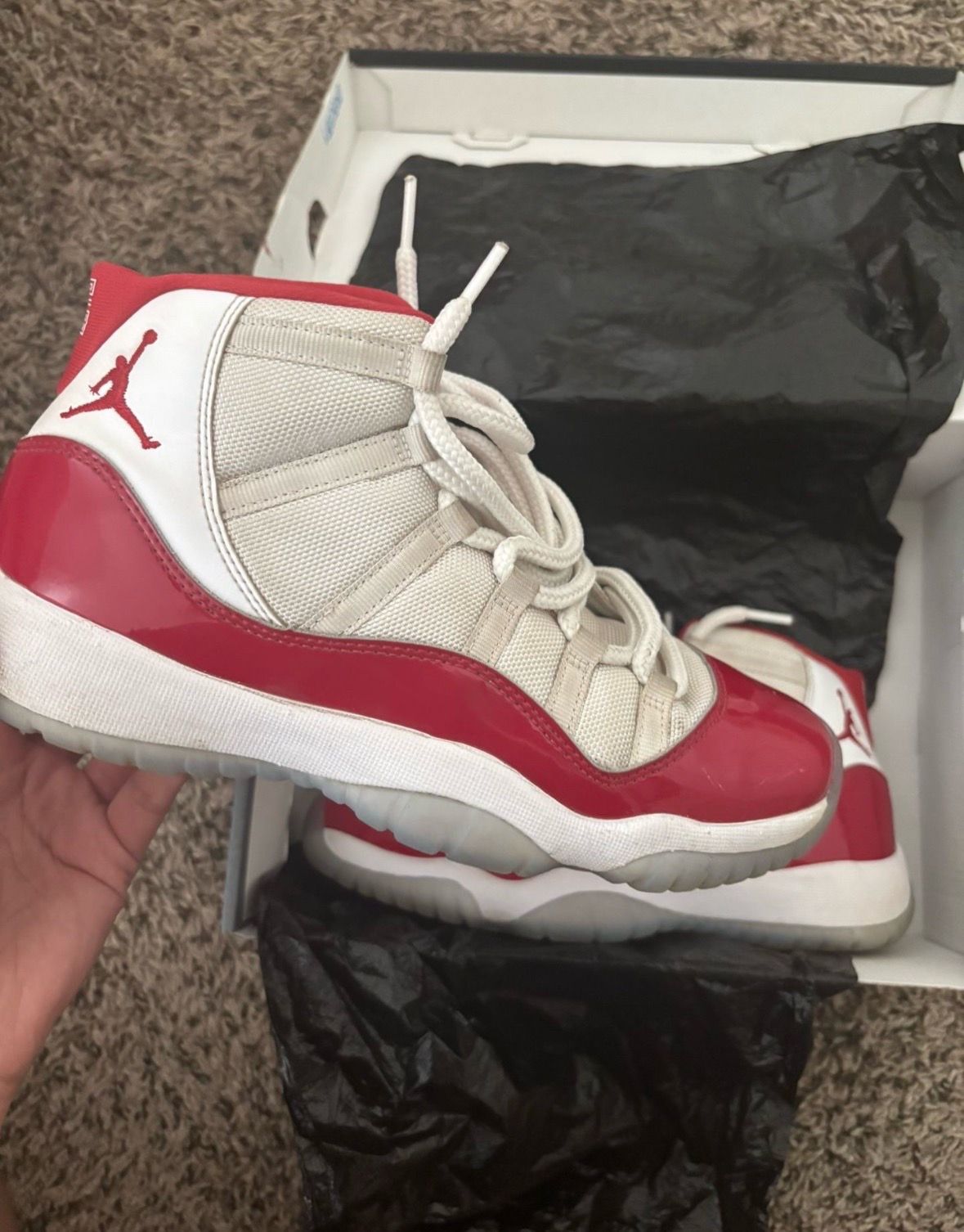 Jordan 11s Cherrys