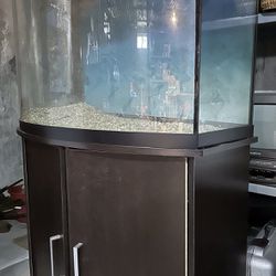 30 Gallon Curved Fish Tank (with Accessories)