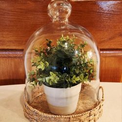 Large Farmhouse Cloche Dome Stand With Ikea Faux Plant 