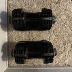 Ativafit Dumbells