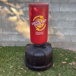 Wave Master Punching bag