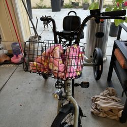 Adult Electric Tricycle