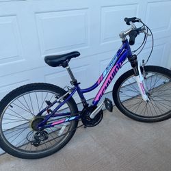 Girl’s Mountain Bike