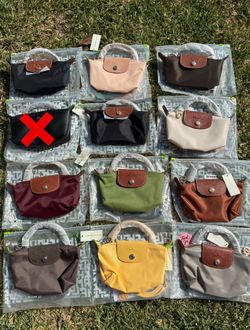 Mini Longchamp Baga