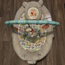 Disney baby Bouncer 