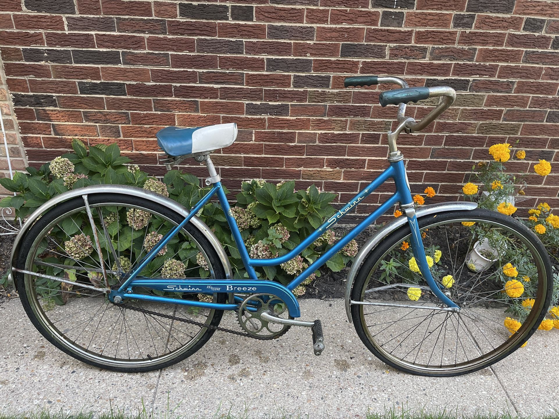 Vintage Schwinn bike