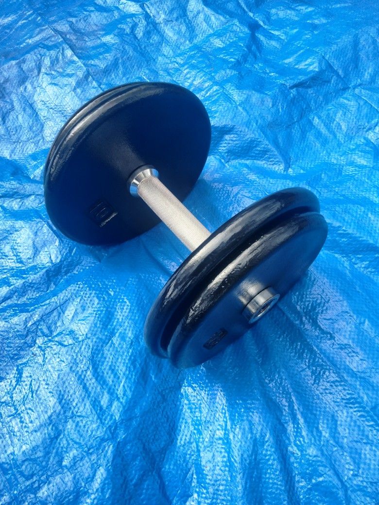 40 lb Dumbbell 