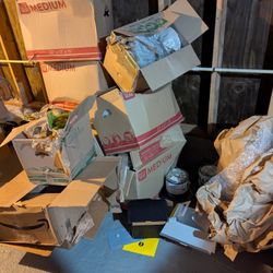 Free Moving Boxes