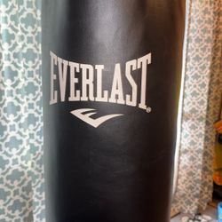 Punching/ Speed Bag 