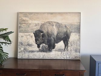 Art canvas buffalo print