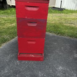 Bee Hive