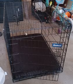 Doskocil Dogs Create for Mexium to LG size