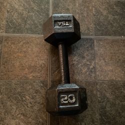 20lbs Dumbell