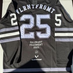 Valorant x Fragment Hockey Jersey