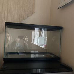 10 Gallon Glass Tank With Lid