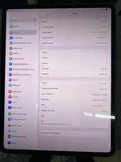 iPad PRO 13” M5 256GB WiFi plus Cell like new