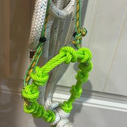 Bosal Del Diablo Hackamore Jaquima, Gamarra Tack