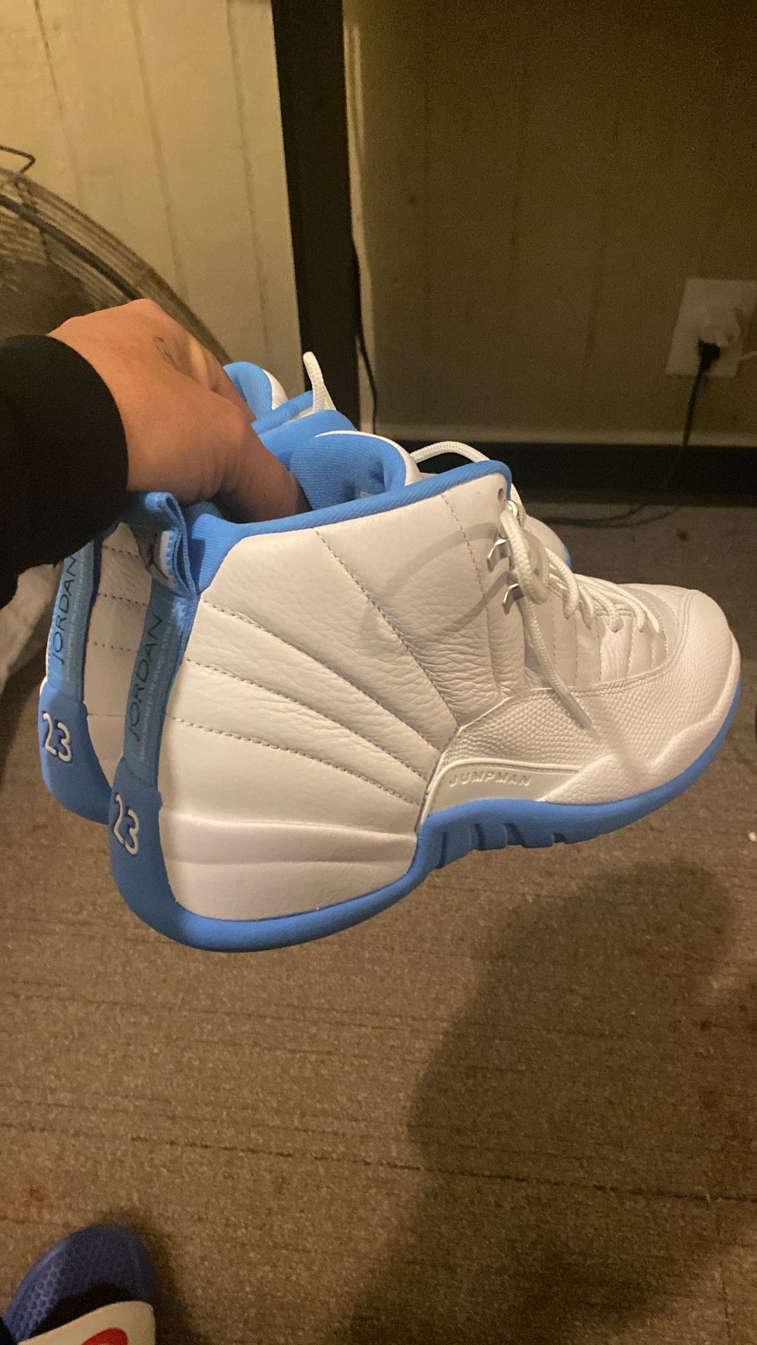 Jordan 12s