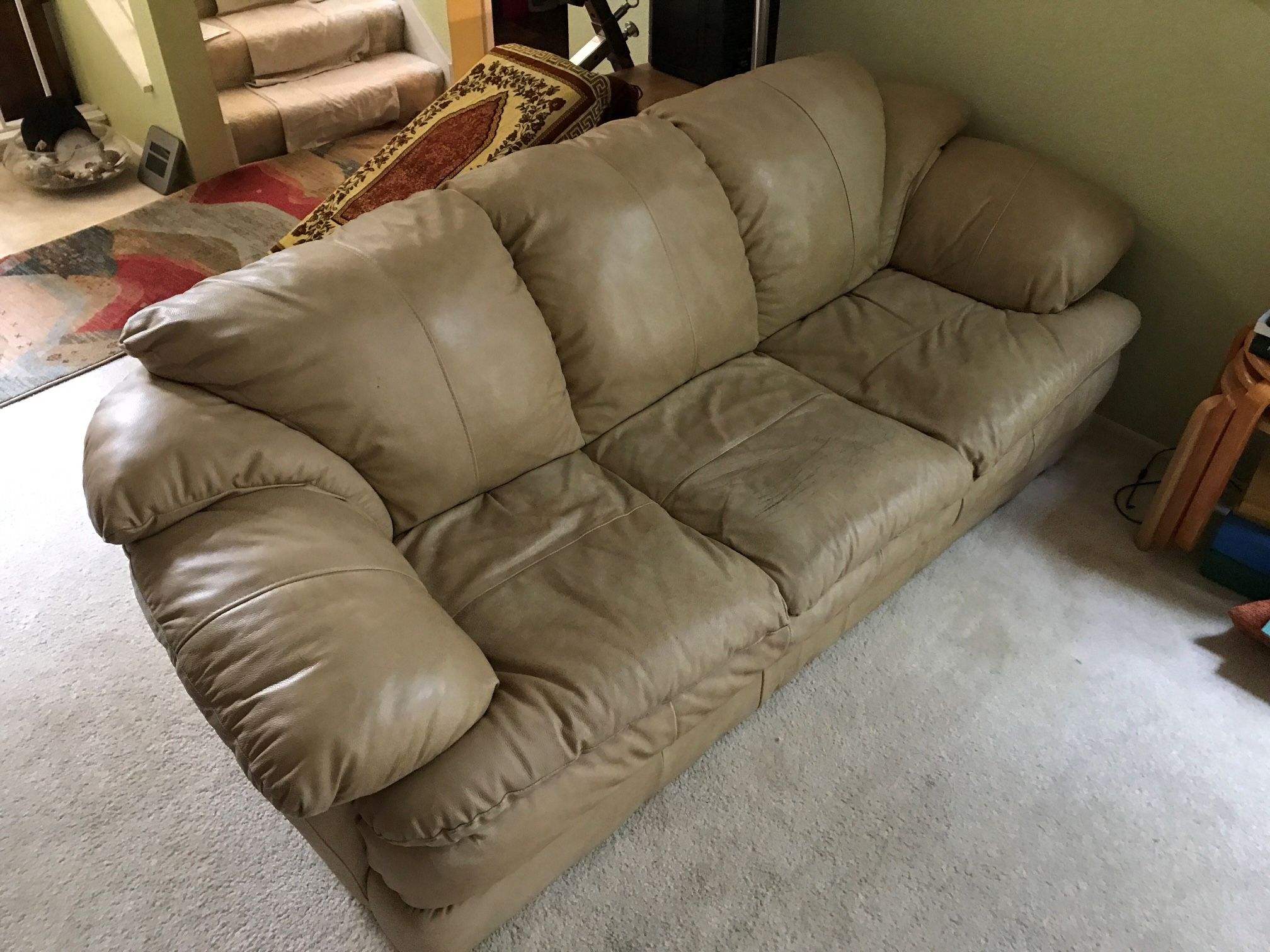 Sealy Leather Couch