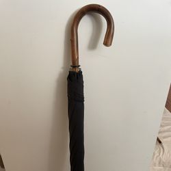 Black Polished Chestnut Umbrella 