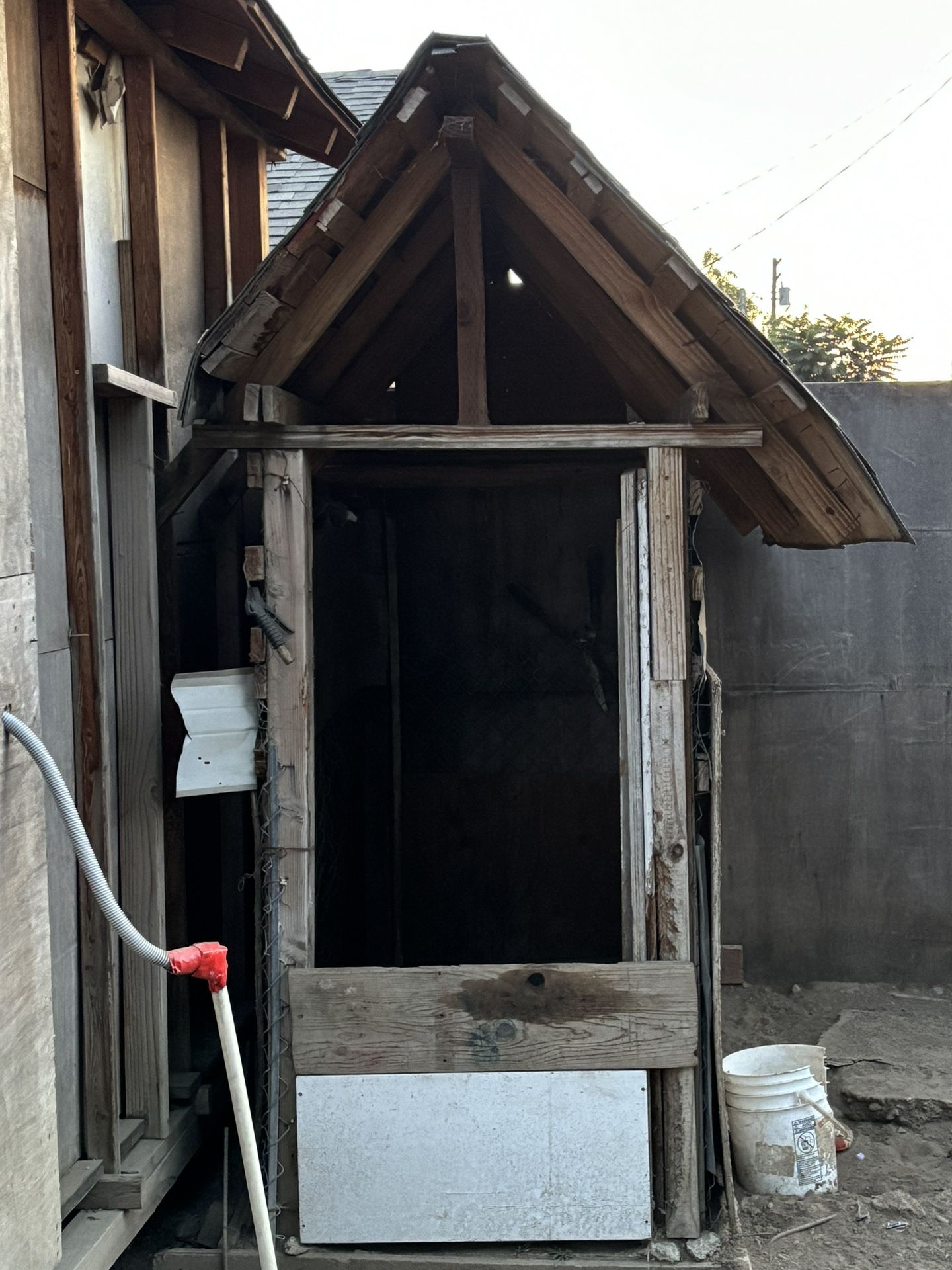 Free Dog House