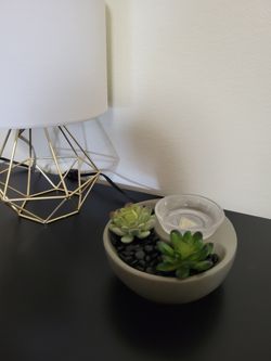 Succulent Scentsy Wax Warmer