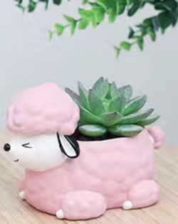 Succulent resin Plant Pot home Decor 