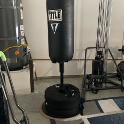 Punching Bag