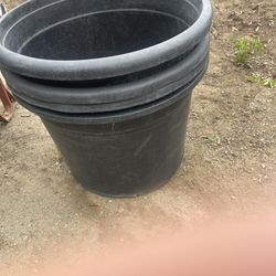 Planting Pots, All Sizes