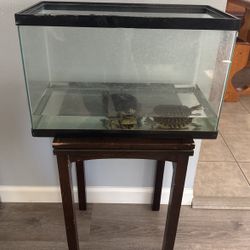 Aquarium Tank 