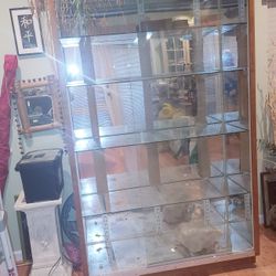 Large Lighted And Mirrored Curio Cabinet