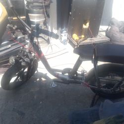 Rad Runner E-Bike Plus1