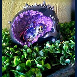 Baby👶Dragon Hiding InCrystal💎Skull💀