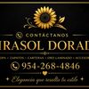 Girasol Dorado