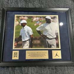 Tiger Woods And Michael Jordan Iconic photo 